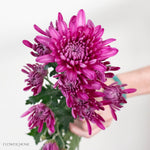 Purple Cushion Pom Flower
