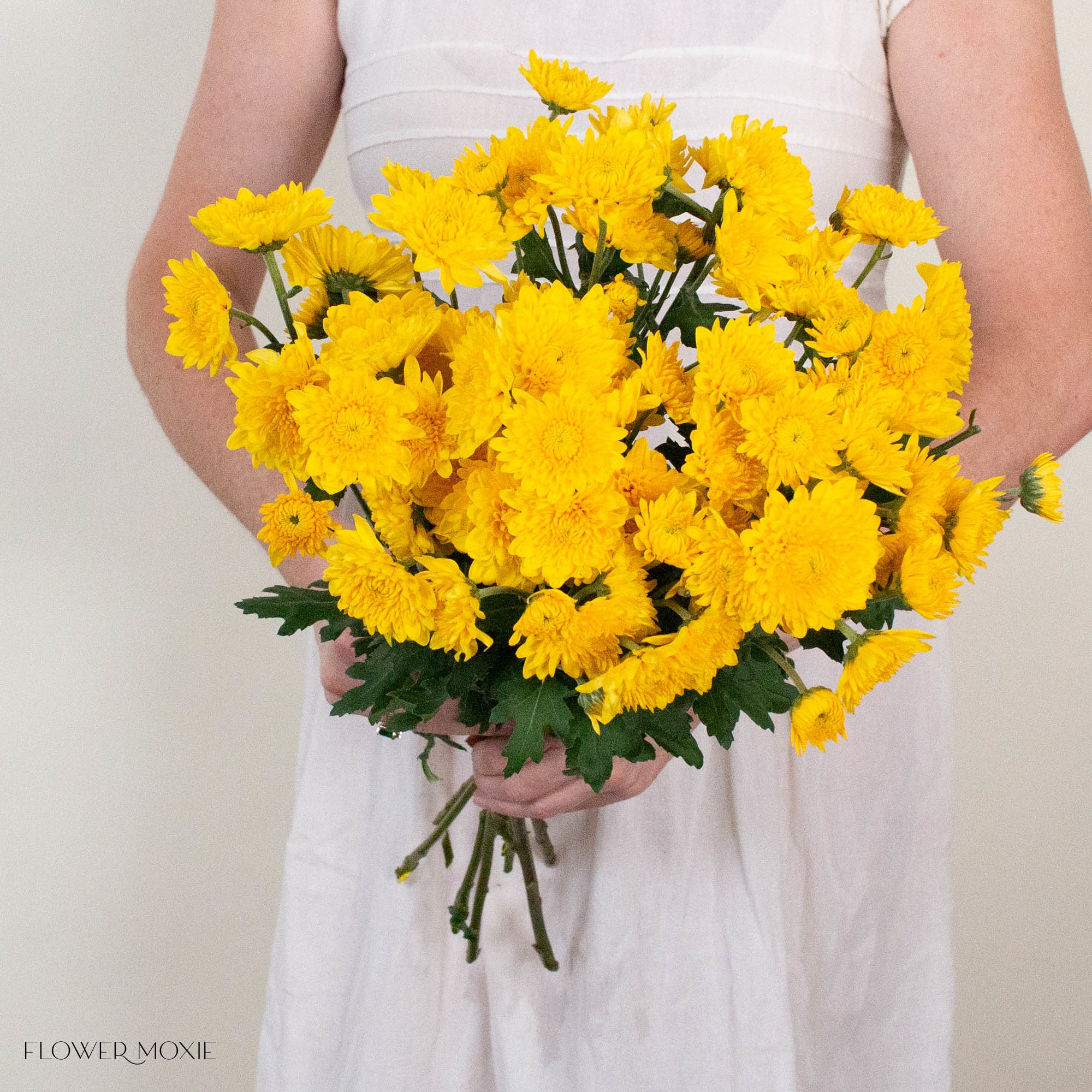 Yellow Cushion Pom Flower
