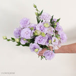 Lavender Lisianthus Flower
