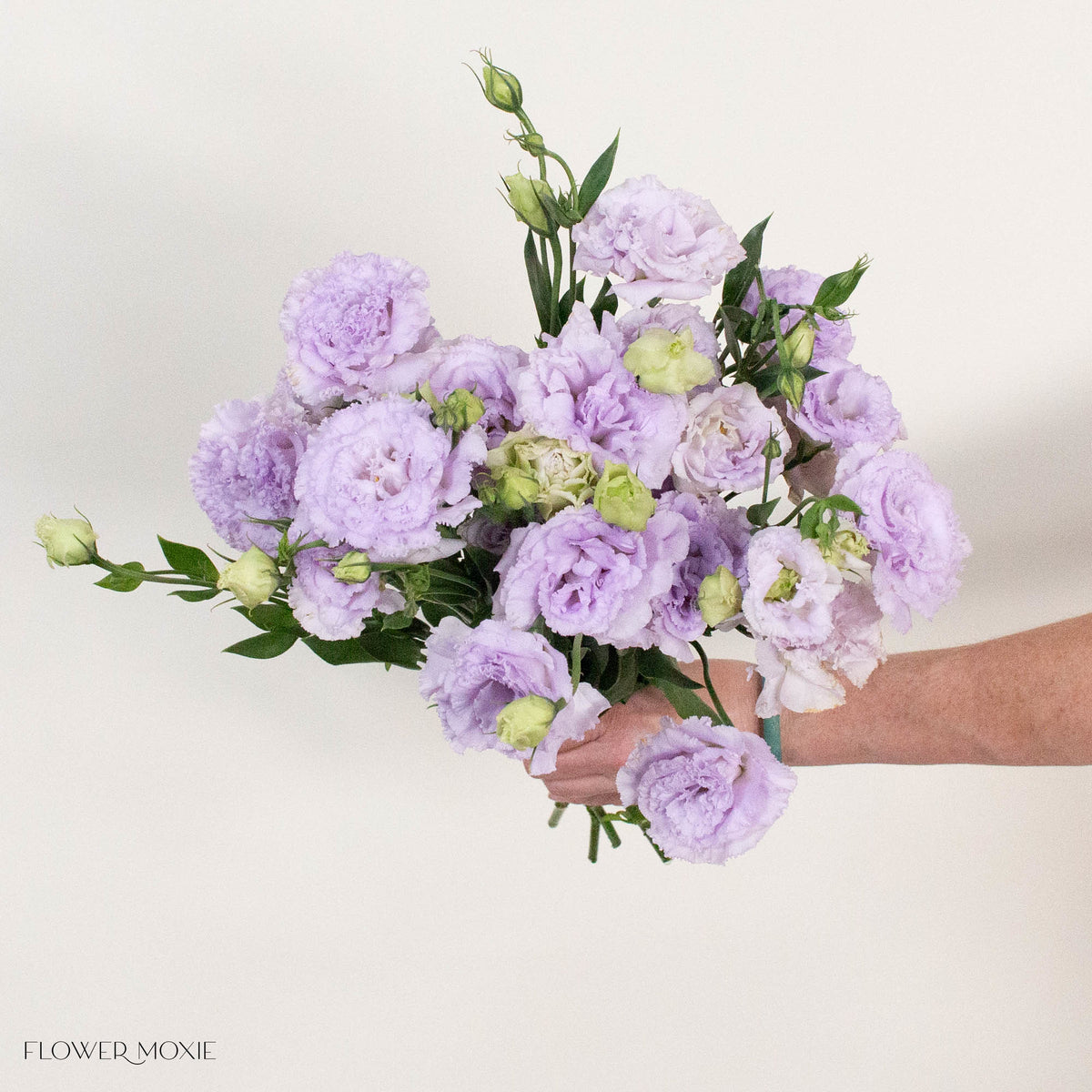 Lavender Lisianthus Flower
