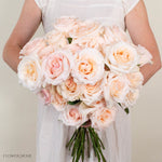 Blush Fancy Dreams Rose, 100 stems