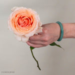 Peach Felicity Rose

