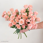 Peach Spray Roses

