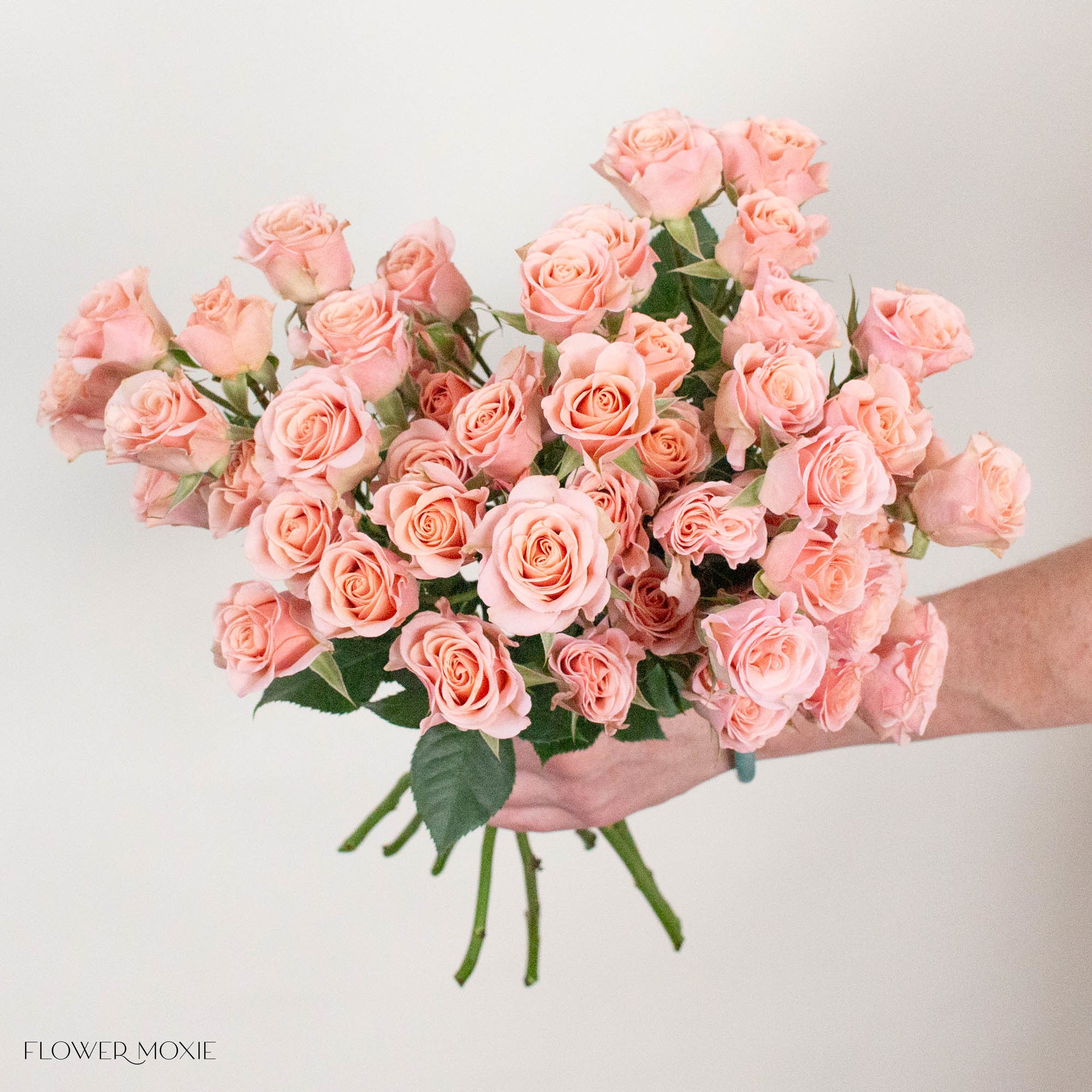 Peach Spray Roses
