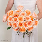 Peach Felicity Rose
