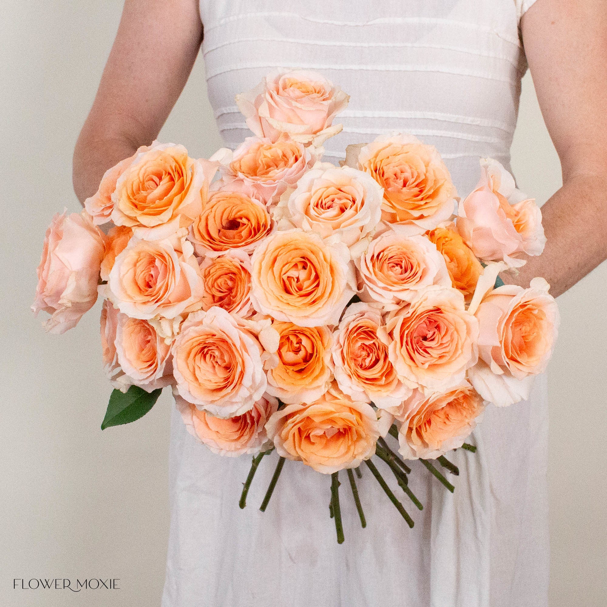 Peach Felicity Rose
