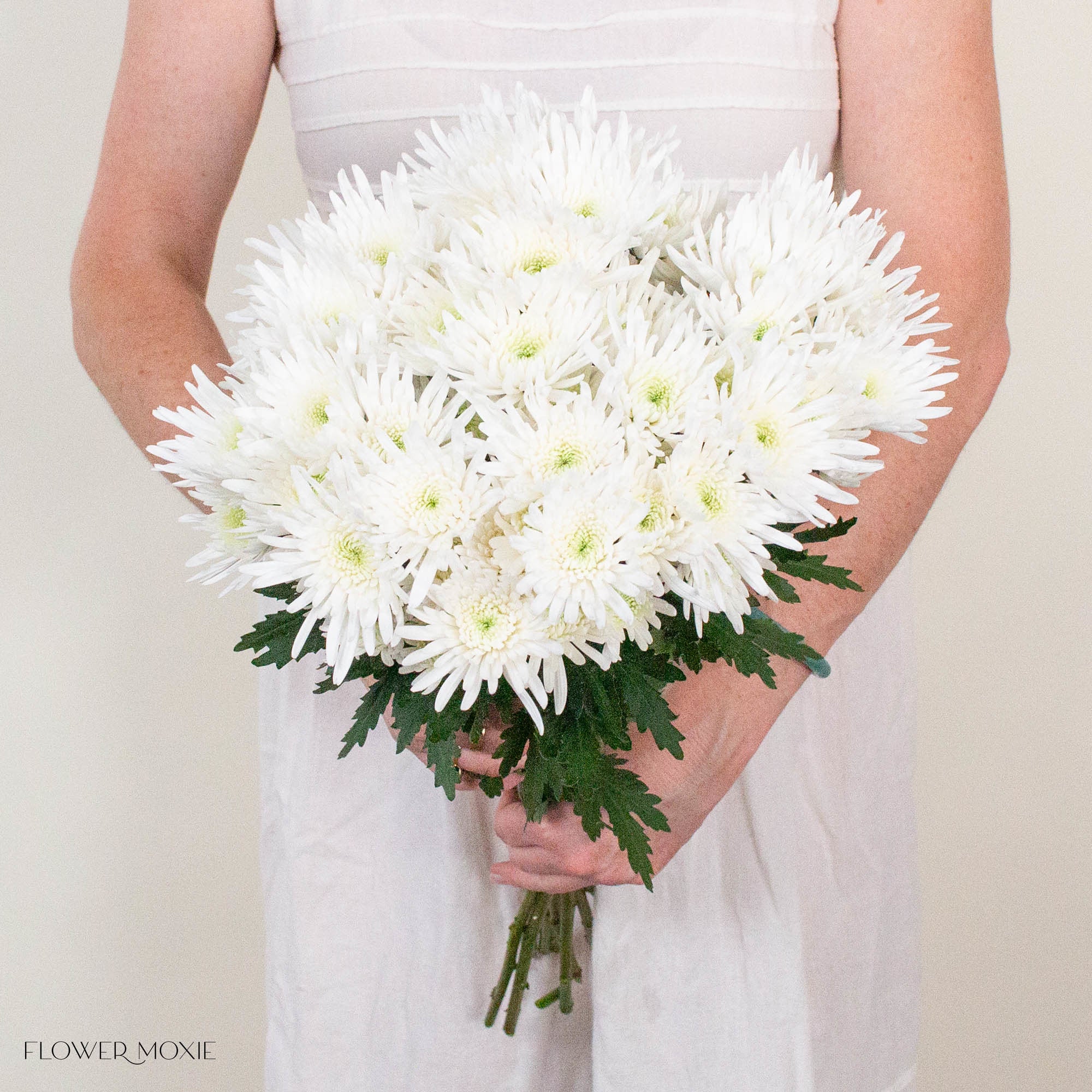 White Cushion Pom Flower
