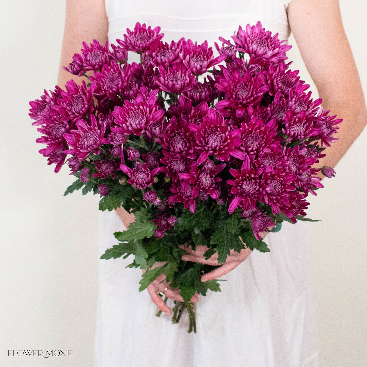 Purple Cushion Pom Flower