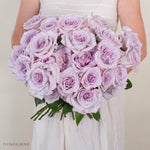 Lavender Arya Rose
