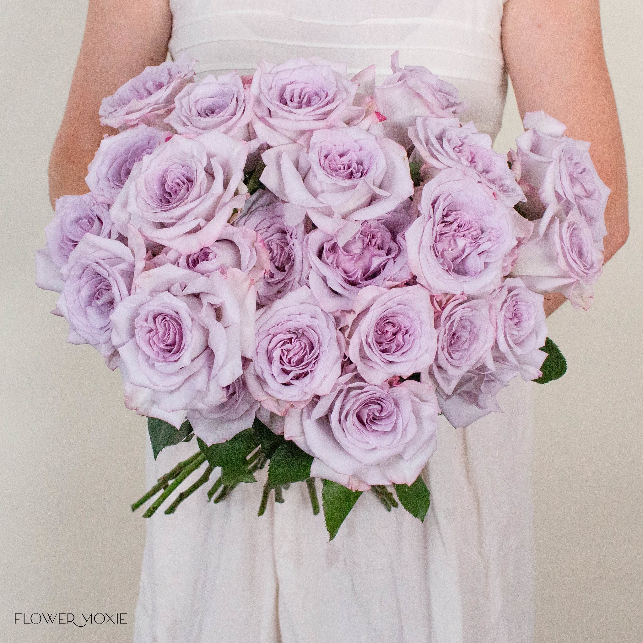 Lavender Arya Rose
