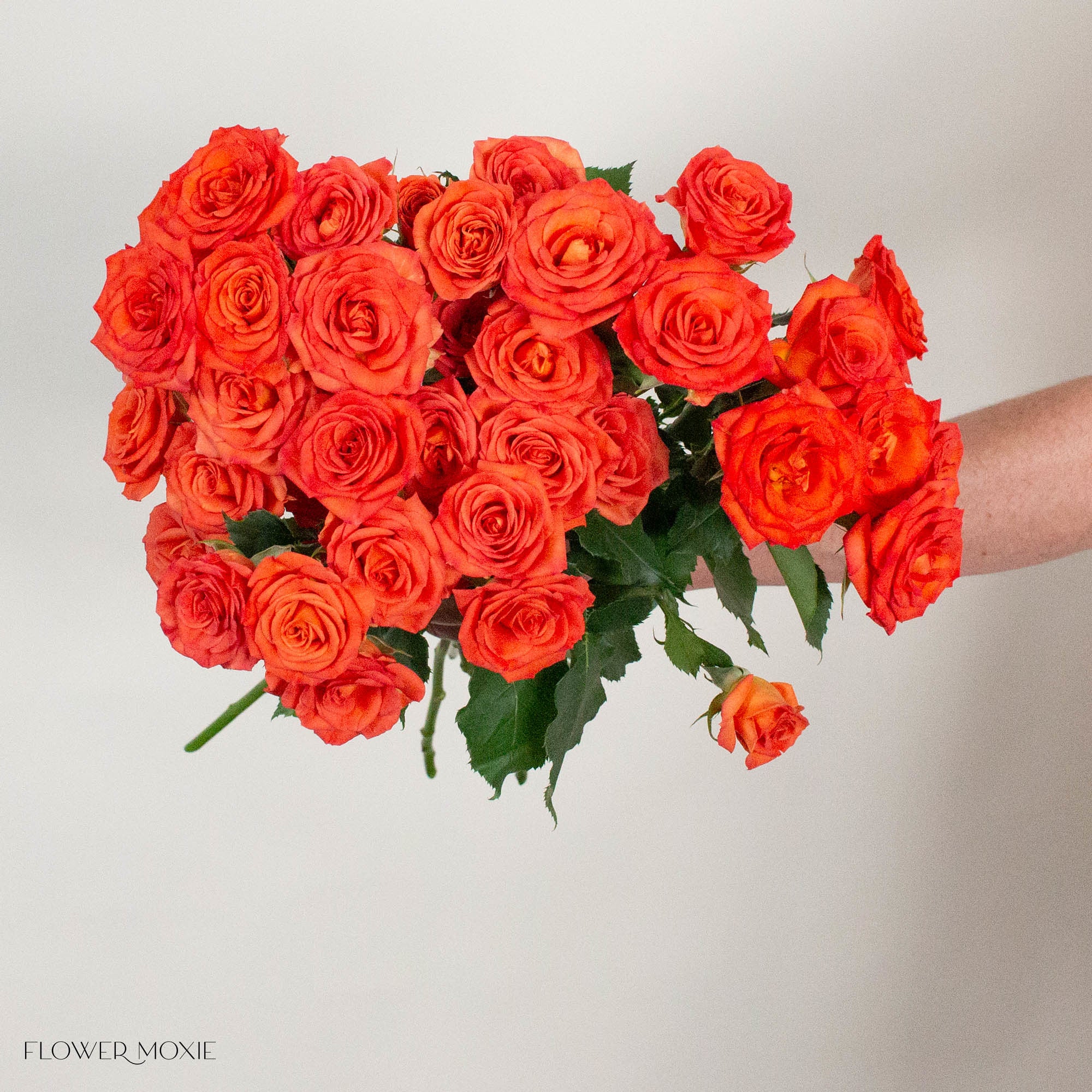 Orange Spray Roses
