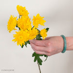 Yellow Cushion Pom Flower
