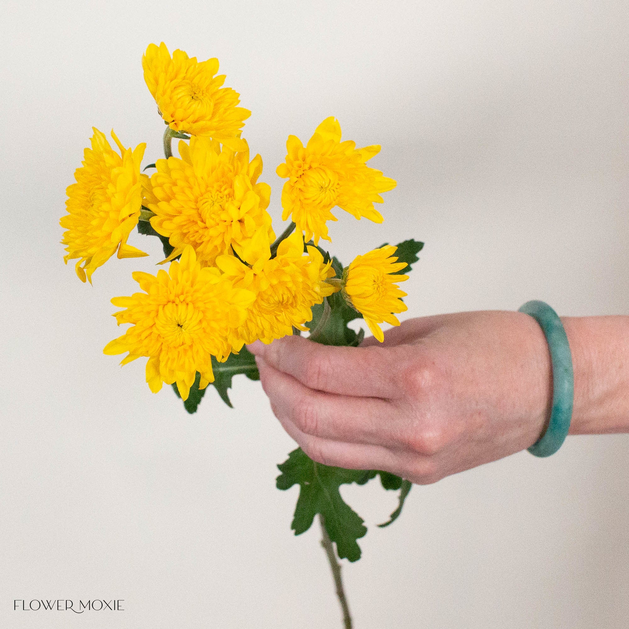 Yellow Cushion Pom Flower
