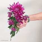 Purple Cushion Pom Flower