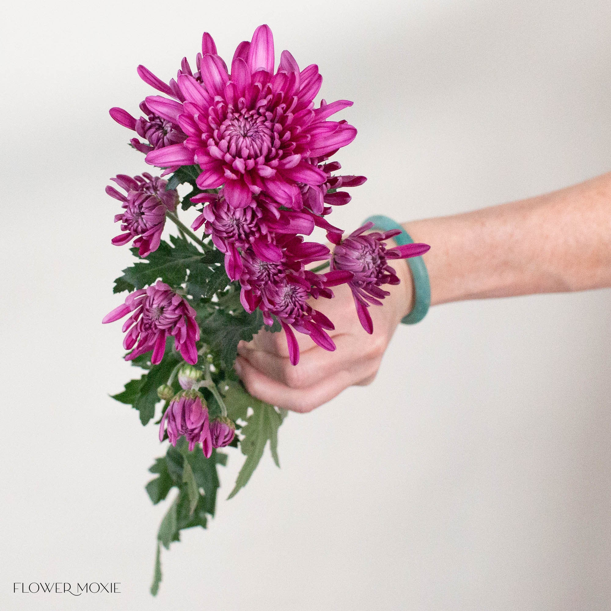 Purple Cushion Pom Flower