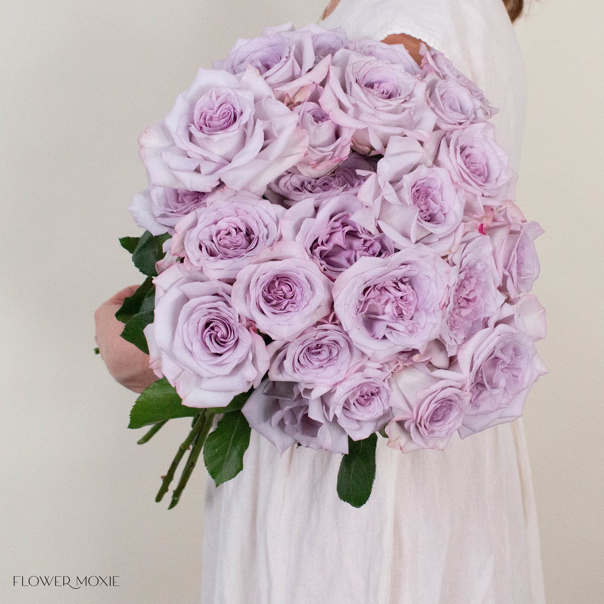 Lavender Arya Rose
