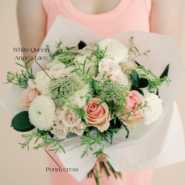 Queen Anne's Lace Flowers | DIY Wedding Flowers | Flower Moxie