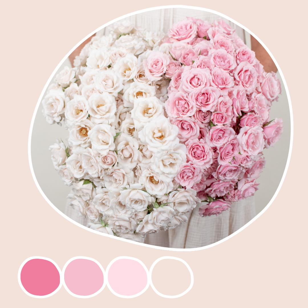 Majolika Spray Roses Mixed Box | Flower Moxie Bulk Flowers