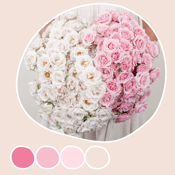 fromJapanchloe rose edition  50ml 未開封 Majolika Spray Roses Mixed Box | Flower Moxie Bulk Flowers