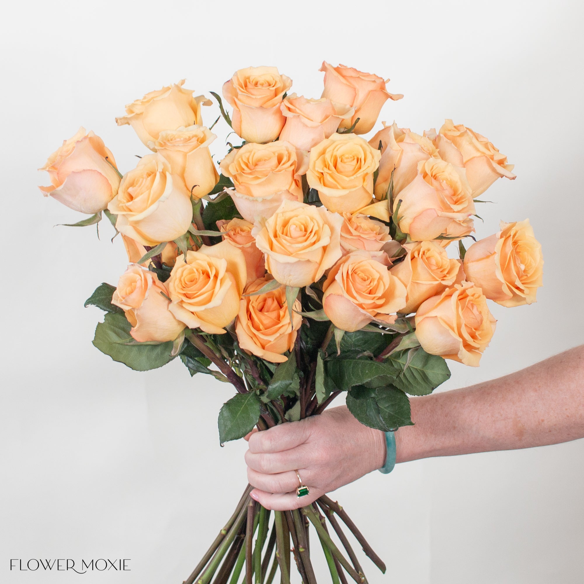 Peach Alquimia Roses