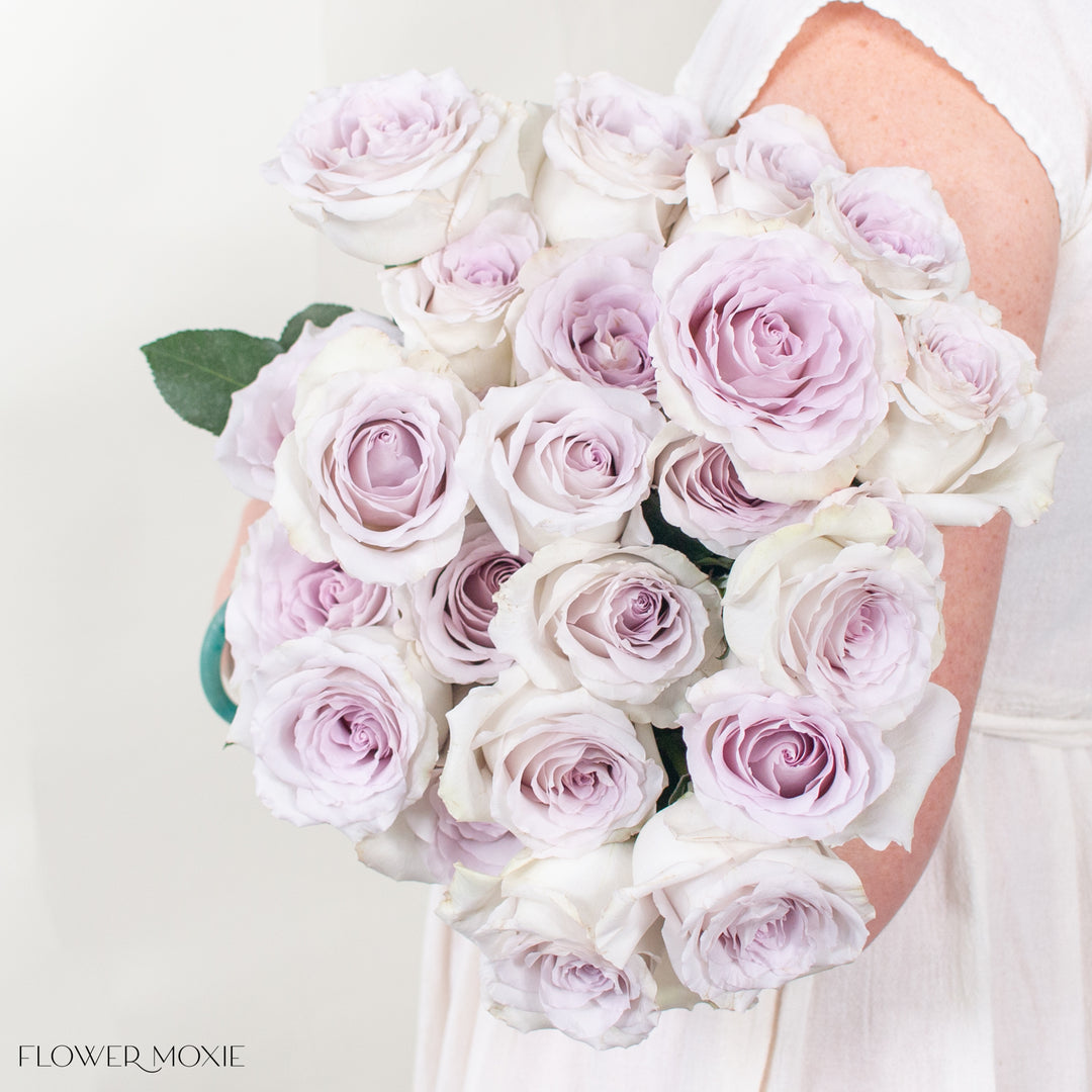 Soft Lavender Andrea Rose, image size:1080x1080