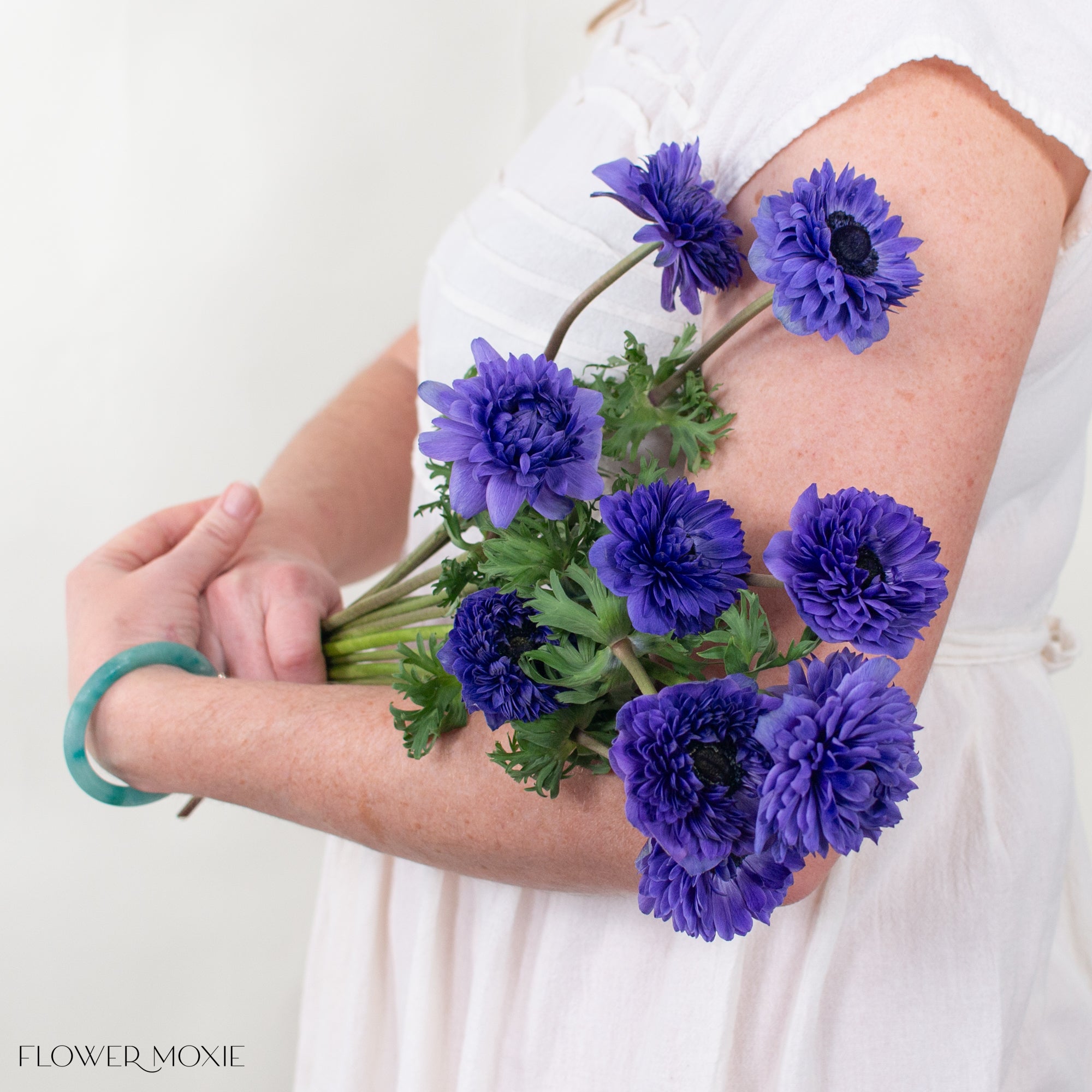 Blue Indigo Lotus Anemone Flowers | Bulk Fresh DIY Flowers
