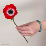 Red Anemone Flower
