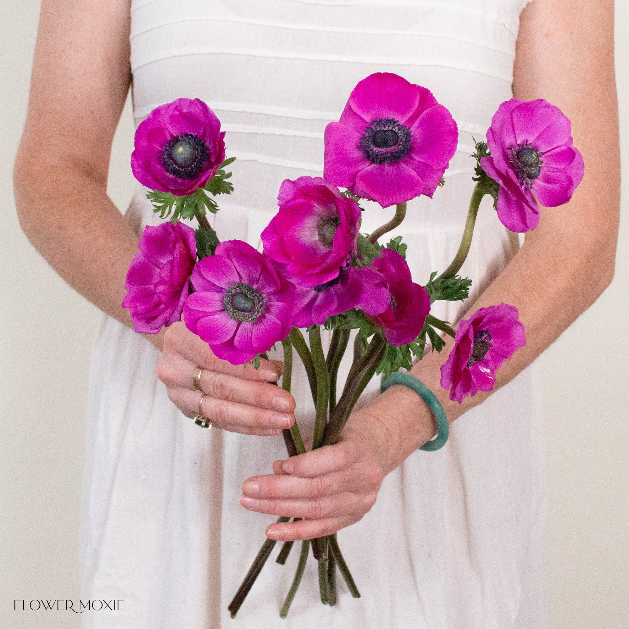 Fuchsia Anemone Flower
