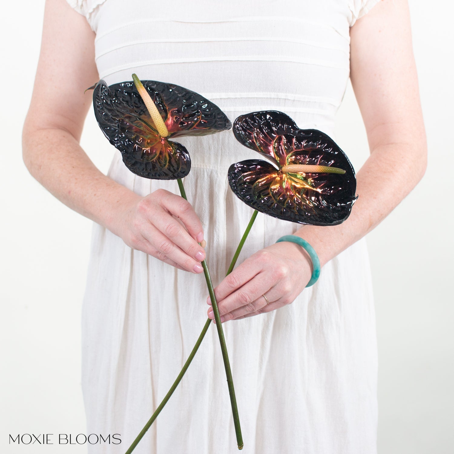 anthurium anouk improved Iridescent Anthurium - Wicked