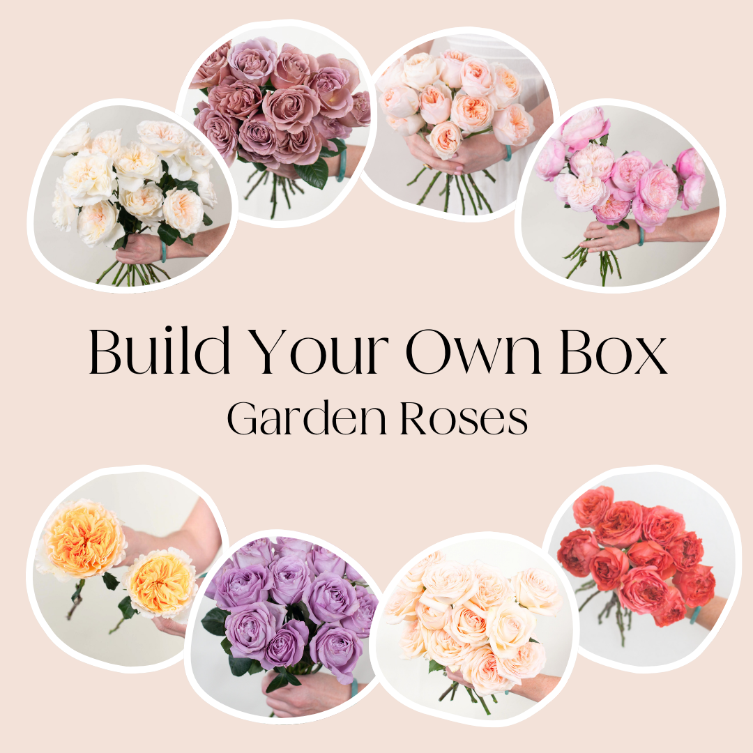 Build Your Own Garden Rose Box