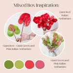 Build Your Own Italian Anthurium Mixed Box