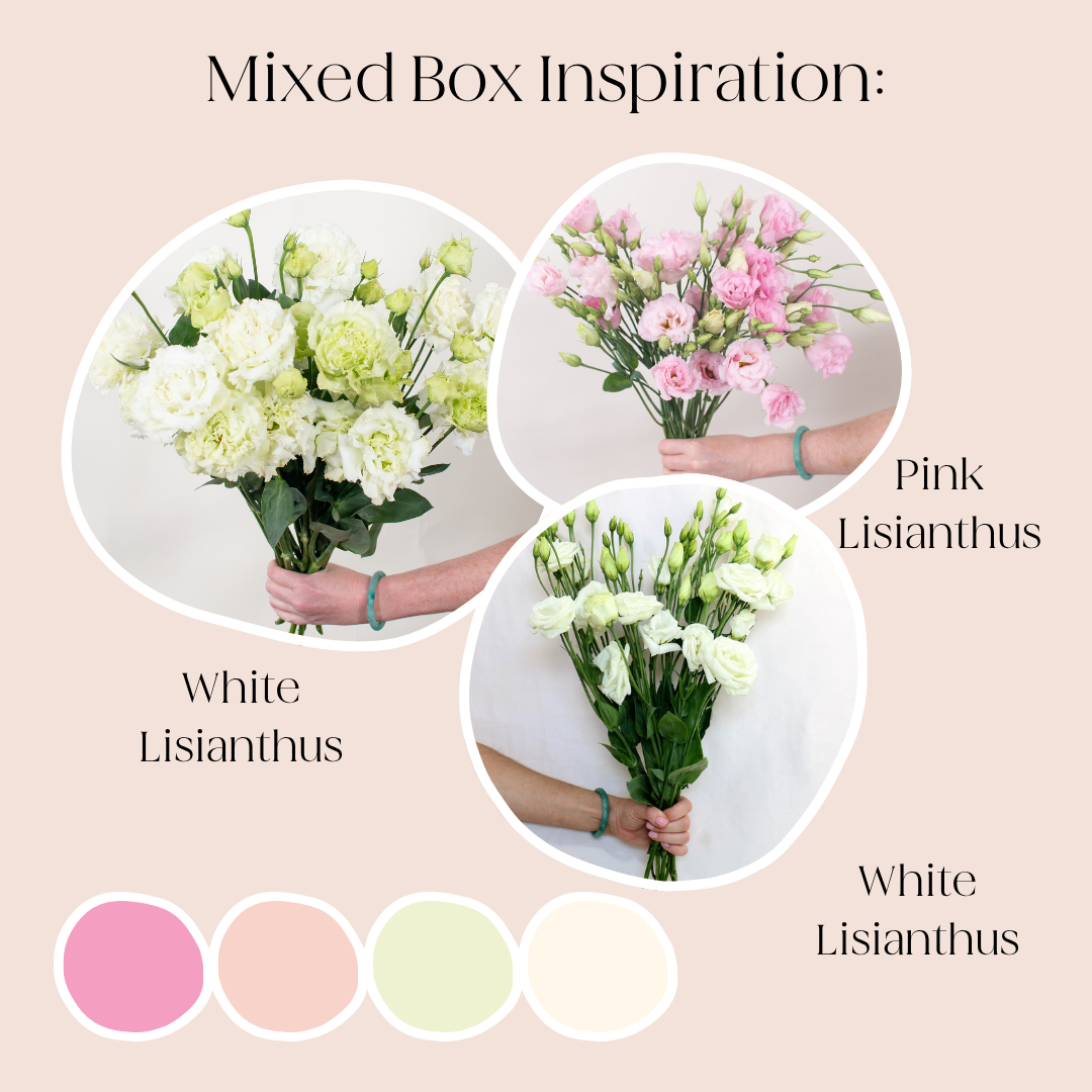 custom lisianthus bulk box
