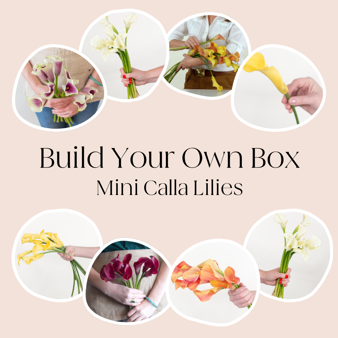 build your own mixed box of calla lilies 