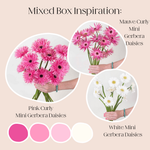 Build Your Own Mini Gerbera Box