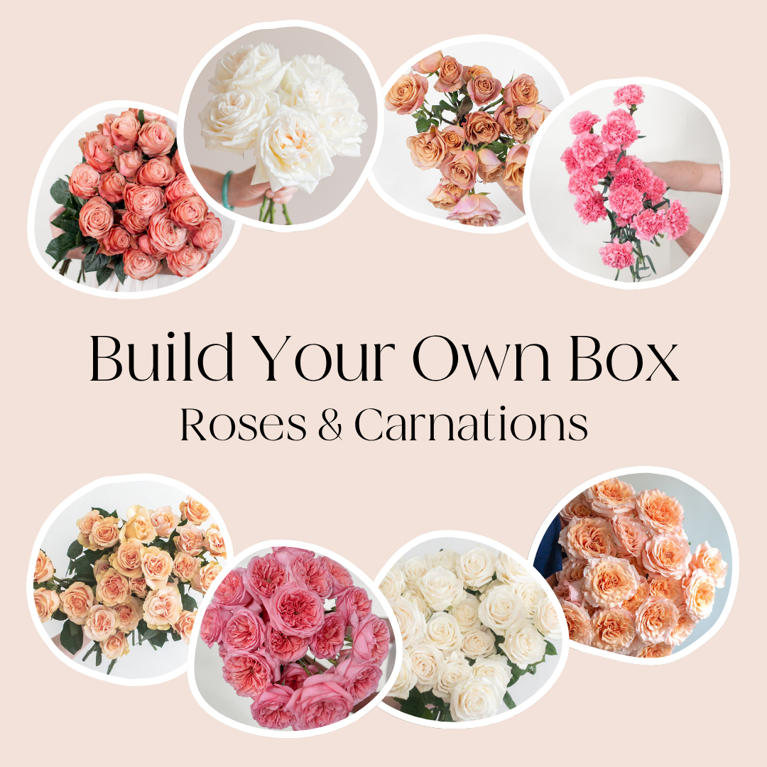 Build Your Own Rose & Carnation Box