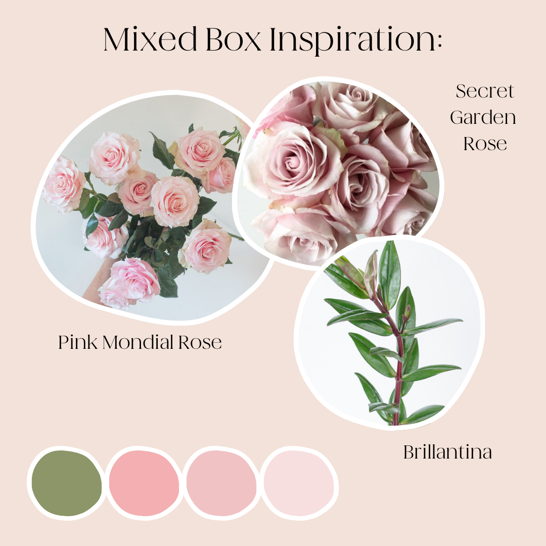 Build Your Own Rose & Greenery Box