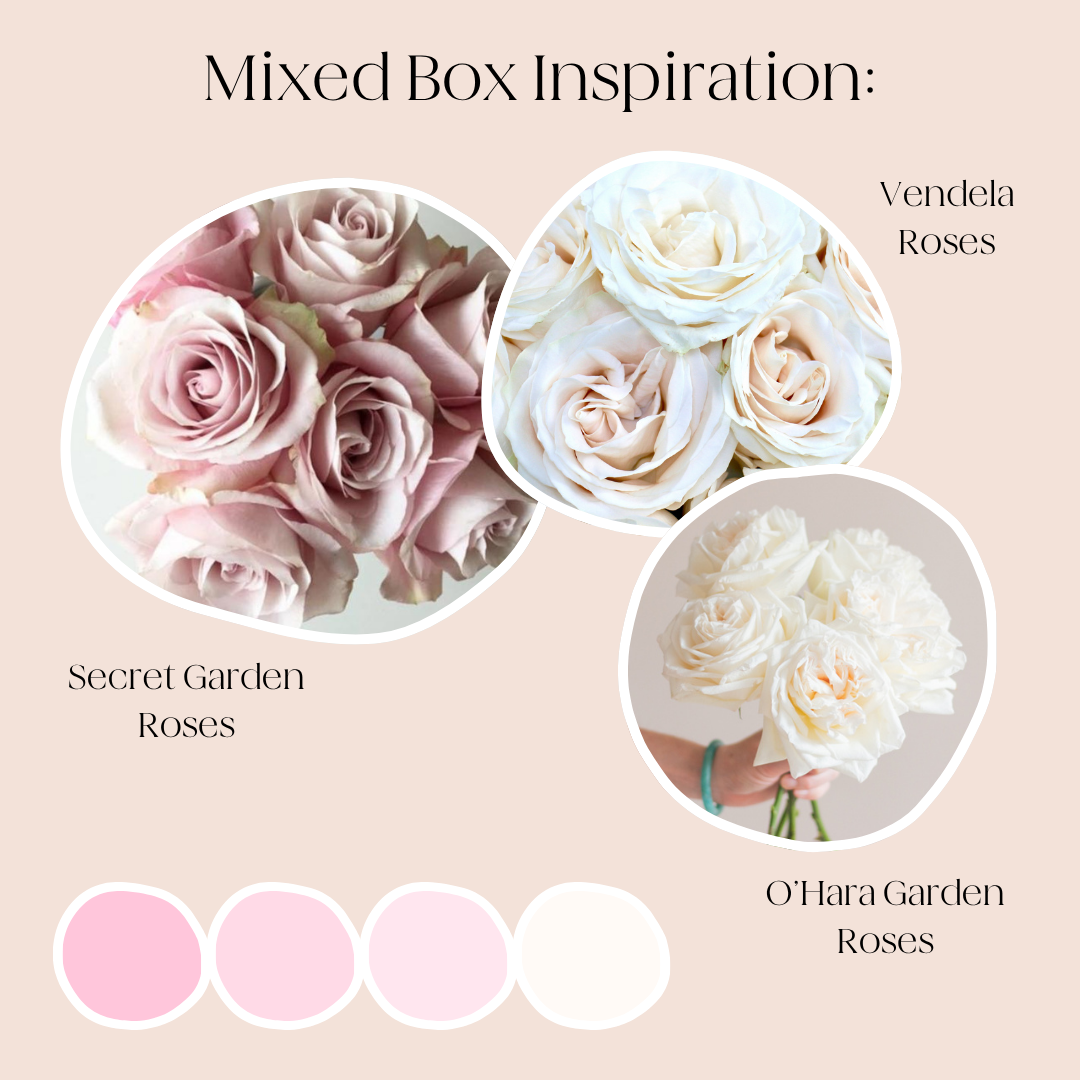 Build Your Own Rose & Spray Rose Mixed Box