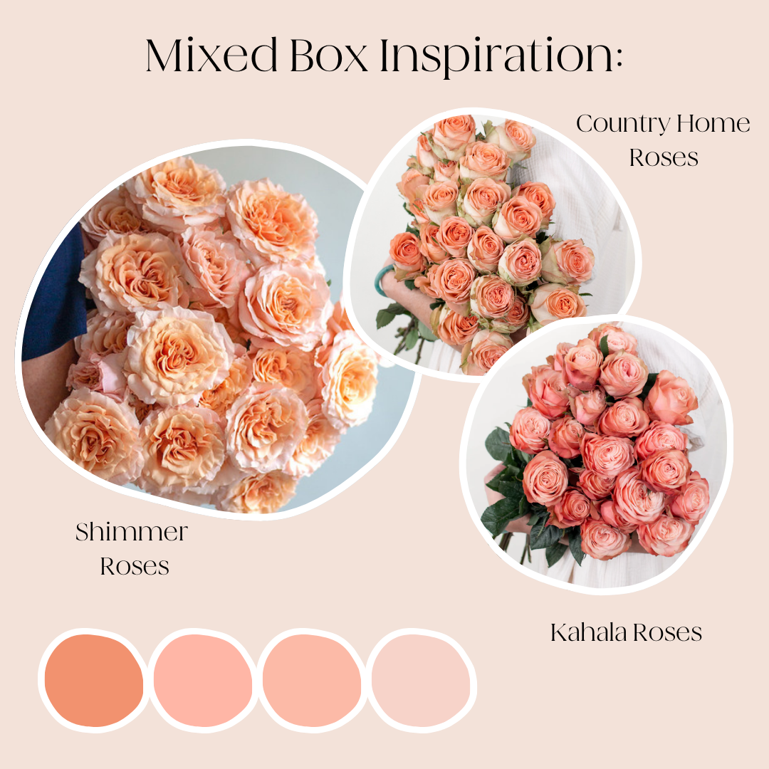 Build Your Own Rose & Spray Rose Mixed Box