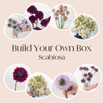 build your own scabiosa box