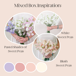 custom bulk Sweet Pea Mixed Box