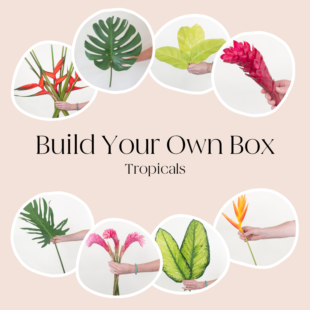 Build Your Own Tropicals Mixed Box