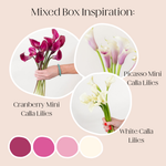 build your own mixed box of calla lilies 