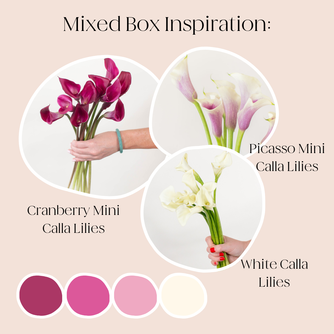 build your own mixed box of calla lilies 
