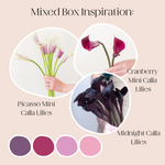 build your own mixed box of calla lilies 