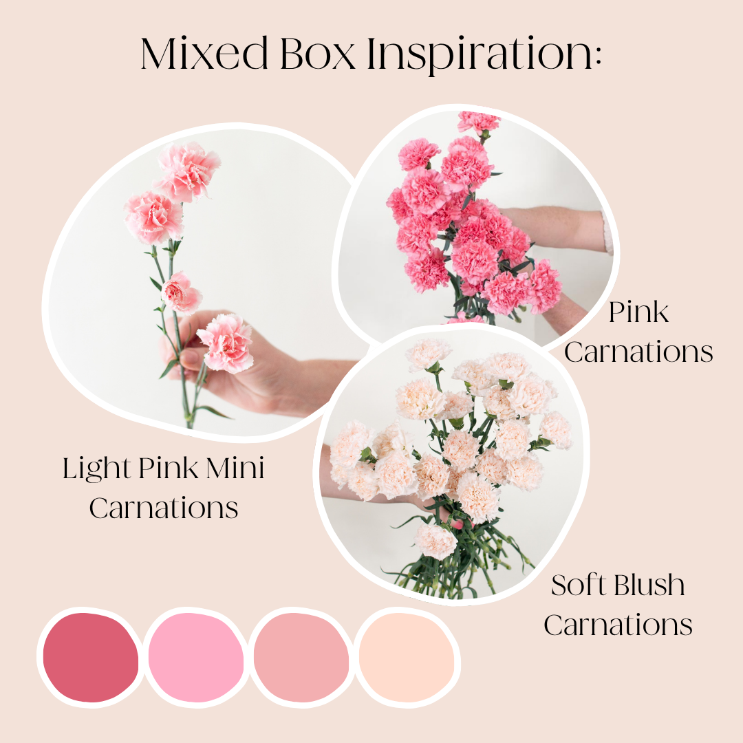 Build Your Own Carnation and Mini Carnation Mixed Box