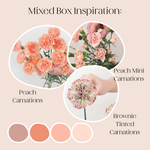 Build Your Own Carnation and Mini Carnation Mixed Box