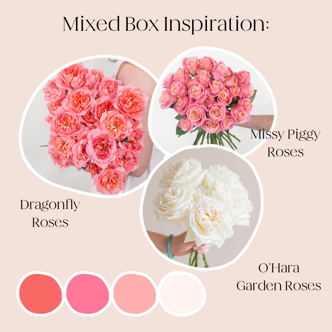 build your own rose box