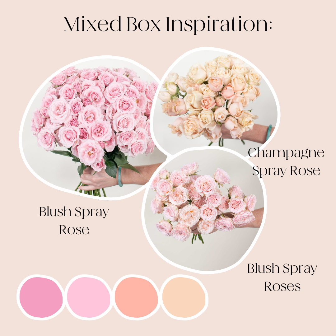 BYOB Spray Roses