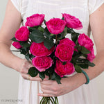 Deep Pink Baronesse Garden Rose