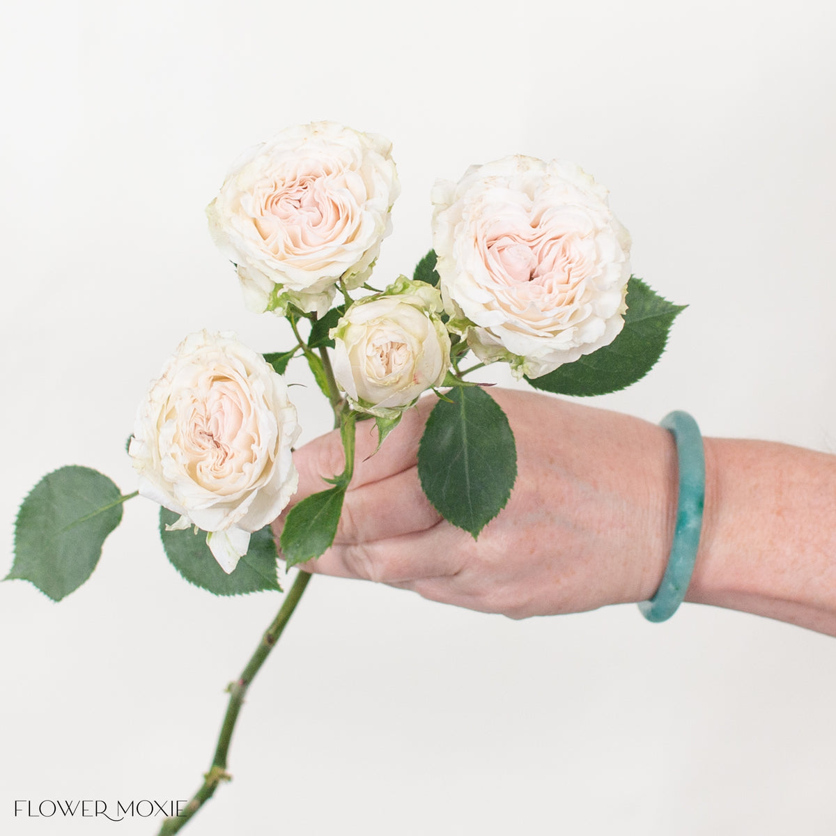 Spray Roses | Bulk Fresh Spray Roses Online – Flower Moxie
